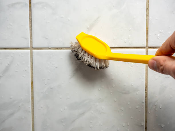 Best Residential Mold Removal  in Haubstadt, IN
