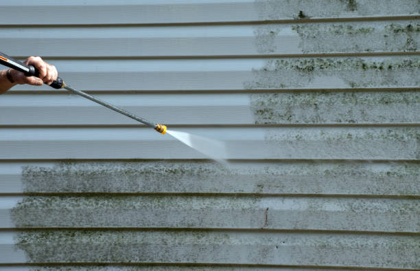 Best Local Mold Removal Service  in Haubstadt, IN