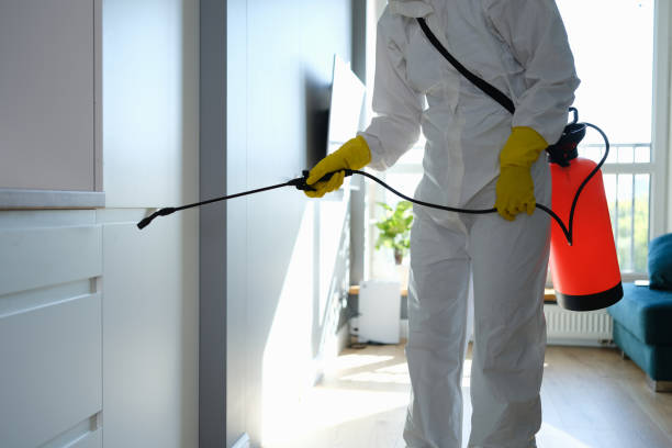 Mold Removal and Inspection in Haubstadt, IN